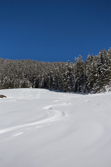 Winterlicher Landschaft bei Sonnenschein an einem steilen Hang
