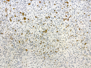 Texture of floor of granite