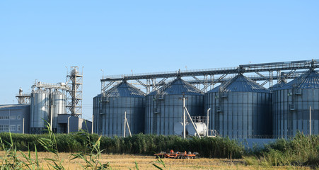 Plant for the drying and storage of grain
