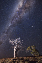 Tree on a rock out crop under the Milky Way