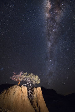 Tree on a rock out crop under the Milky Way