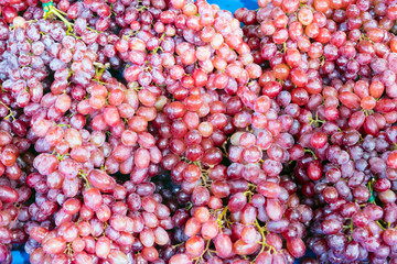 pile of fresh grape fruit for background