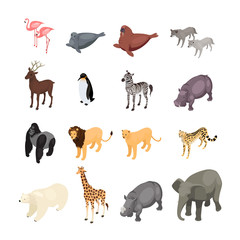 Isometric wild animals isolated on white background. Set of wild animals from various climatic zones. Vector illustration.