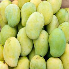 pile of fresh mango fruit for background