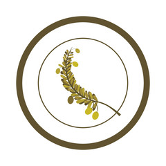 Olive oil food icon vector illustration graphic design