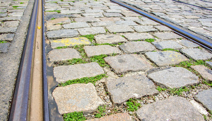 Tram rails and rectangular and square cobbles stones with grass at sunny summer day