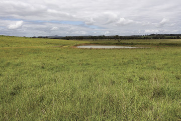 undulating field with dam