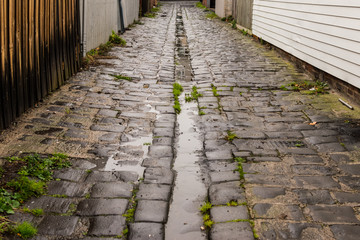 Old, vaguely ominous bluestone back alley, wet with recent rain