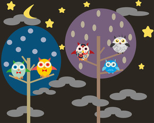 Owl at night