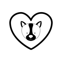 Cute dog pet icon vector illustration graphic design