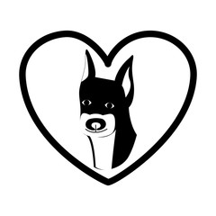 Cute dog pet icon vector illustration graphic design