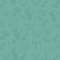 Cute dog pet icon vector illustration graphic design