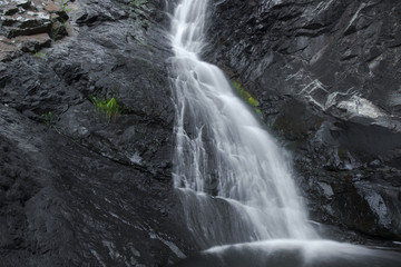 Cedar Creek waterfall in Mount Tambourine, Queensland.