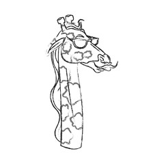 giraffe with hipster style over white background. vector illustration