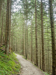 Kolbensattel near Oberammergau scenes