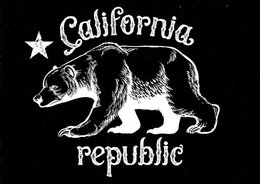 california republic bear in dirty texture style texture are easi