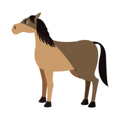 horse cartoon icon over white background. colorful design. vector illustration