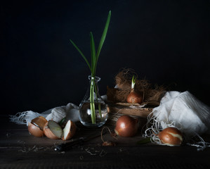 Still life with onions on a wooden table on a dark background