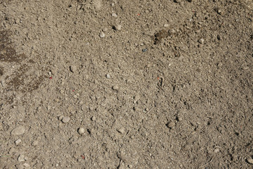 seedling new dirt lawn in spring