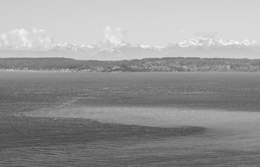 Puget Sound in Black and White II