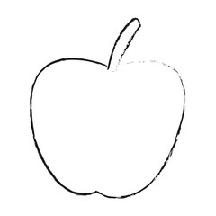 apple fruit icon over white background. vector illustration