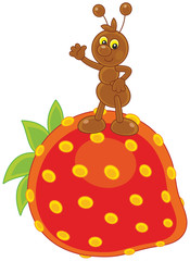 Ant and Strawberry