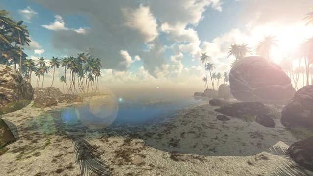 loop rotate camera at ropical beach with palms
