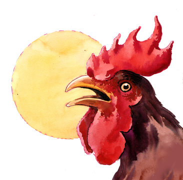 Rooster and the Sun