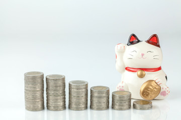 lucky cat and row of coin money on white background