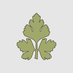 parsley leaf vector