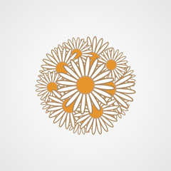 daisy flower vector