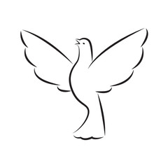 icon dove, vector