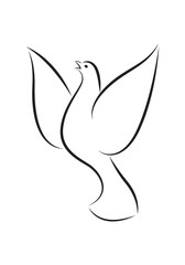 icon dove, vector
