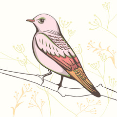 illustration of a bird. hand made background