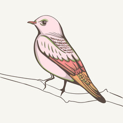 illustration of a bird. hand made background