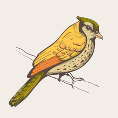 illustration of a bird. hand made background