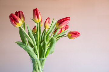 Bouquet of red and yellow tulips in a glass vase