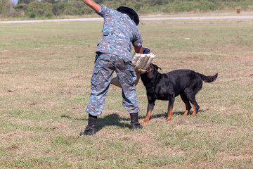 Soldiers from the K-9 dog unit
