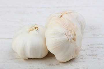 Garlic