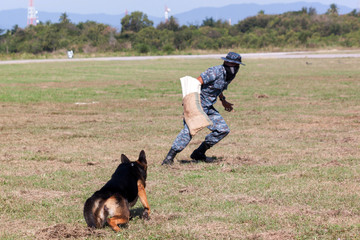 Soldiers from the K-9 dog unit