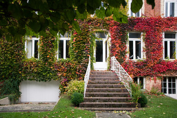 Obraz premium Old house with autumn leaves on the wall