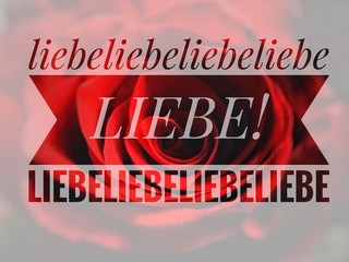Liebe Valentinstag Text über Rose