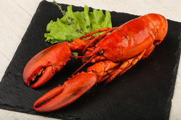 Lobster
