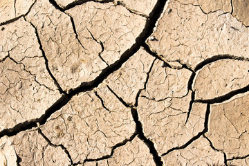 arid land.