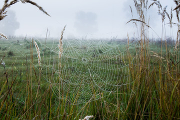 misty autumn morning