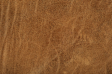 leather texture
