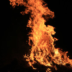 Obraz premium flame