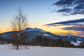 Beautiful winter landscape in the mountains. Sunrise