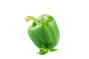 fresh bell pepper or capsicum, sweet pepper