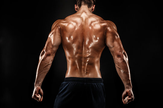 The back view of torso of attractive male body builder on dark background.